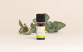 Blue Gum Eucalyptus Essential Oil Quality Newsletter
