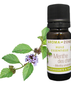 Wild Mint Essential Oil Quality Newsletter - Image 3