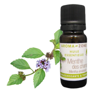 Wild Mint Essential Oil Quality Newsletter - Image 2