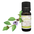 Wild Mint Essential Oil Quality Newsletter