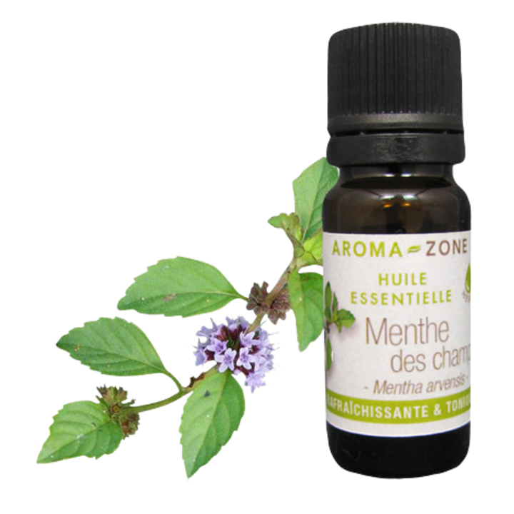 Wild Mint Essential Oil Quality Newsletter