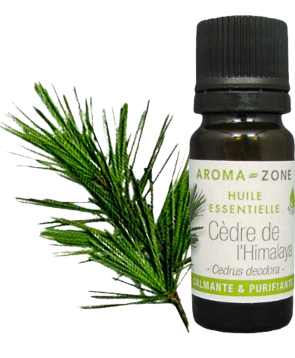 Himalayan Cedarwood Essential Oil Quality Newsletter - Image 3