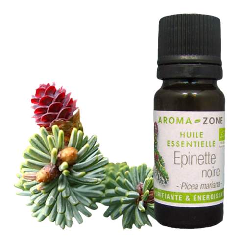 Black Spruce Essential Oil Quality Newsletter