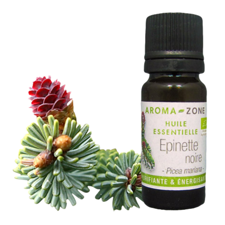 Black Spruce Essential Oil Quality Newsletter
