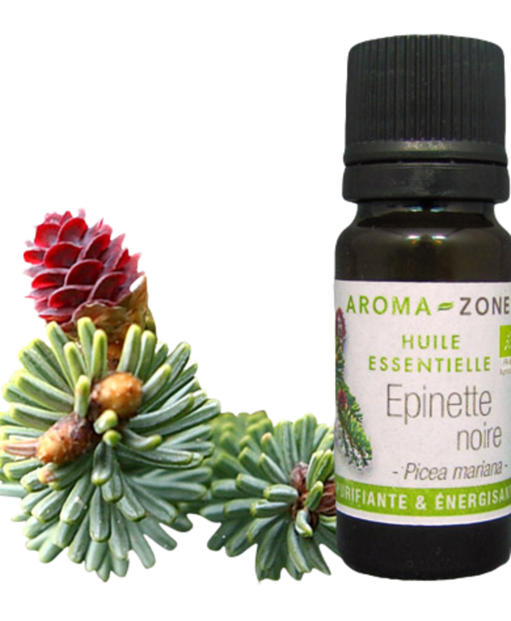 Black Spruce Essential Oil Quality Newsletter - Image 3