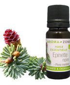 Black Spruce Essential Oil Quality Newsletter - Image 3