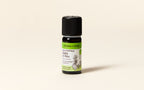 Atlas Cedar Essential Oil Quality Newsletter