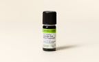 High-Altitude Lavender Fine Essential Oil Quality Newsletter - Image 2