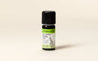 Frankincense Essential Oil Quality Newsletter - Image 2