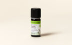 Rosemary Verbenone Essential Oil Quality Newsletter