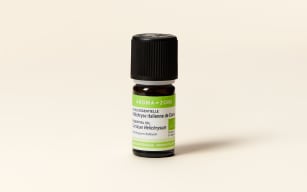 Helichrysum Italicum Essential Oil Quality Newsletter