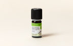 Sea Fennel Essential Oil Quality Newsletter