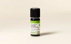 Lavandin Super Essential Oil Quality Newsletter - Image 2