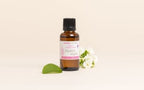 Plant-derived Olive Squalane Cosmetic Active Ingredient - Image 3