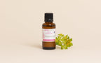 Provitamin B5 (Panthenol): benefits and uses