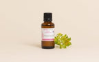 Provitamin B5 (Panthenol): benefits and uses - Image 2