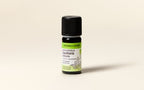 Sweet Wintergreen Essential Oil Quality Newsletter - Image 2