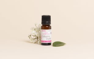 Plant Collagen cosmetic active ingredient - Image 3