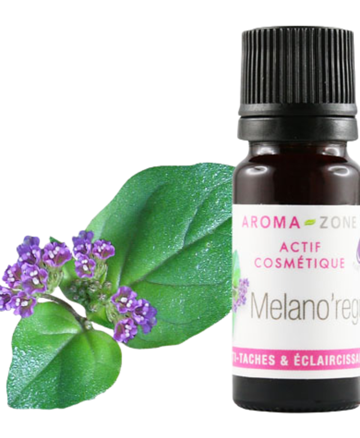 Melano'regul: depigmenting and skin-lightening active ingredient - Image 3