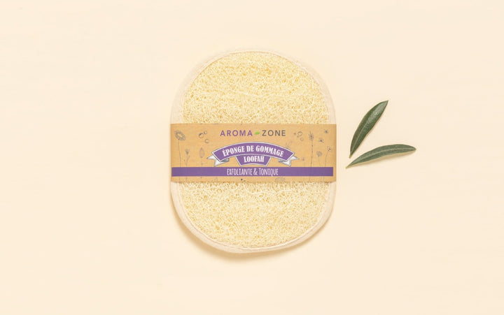 Oval Loofah Scrub Sponge