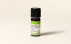 Linalool Thyme Essential Oil Quality Newsletter - Image 2