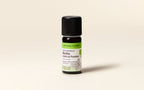 Provençal Peppermint Essential Oil Quality Newsletter - Image 2