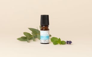 Anti-blemish essential-oil roll-on - Image 3