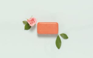 REGENERATING Plant Soap - Image 3